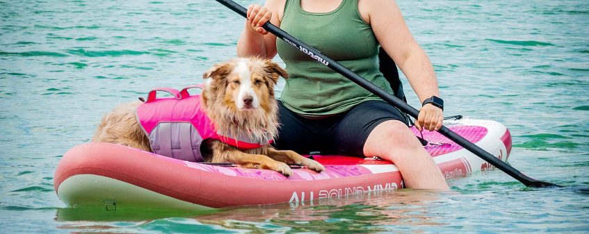 Human with a dog paddleboarding