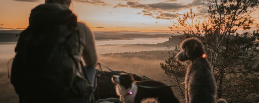 Woman with two dogs looking at a sunset from a mountain