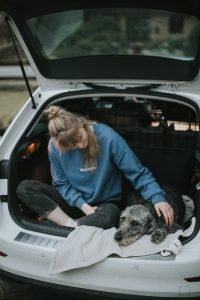 Human and a dog sitting in back of the car relaxing